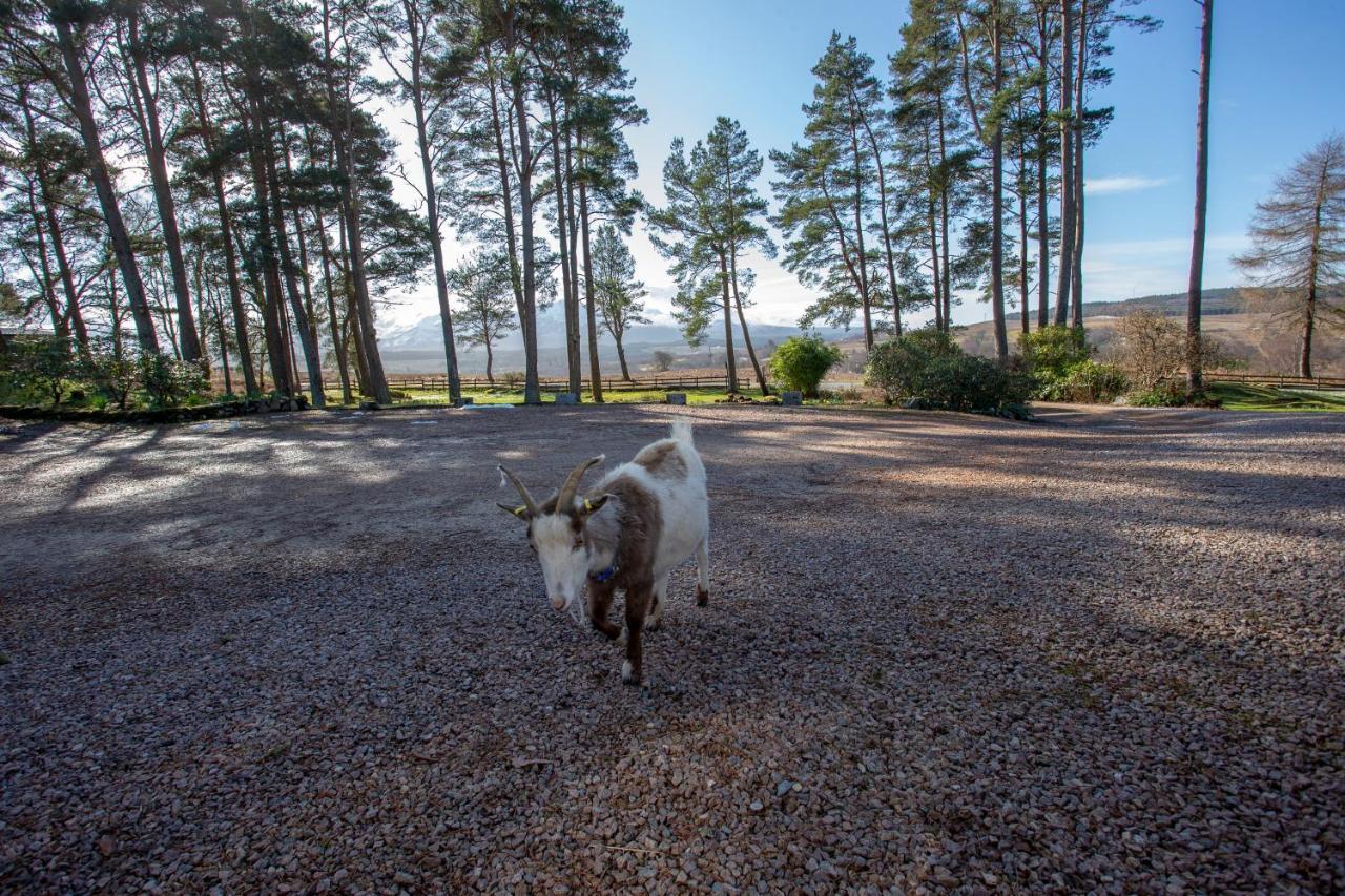 Old Pines Hotel And Restaurant Spean Bridge Eksteriør billede